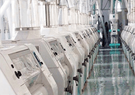 大型面粉加工生產線