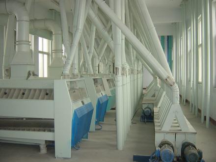 小麥面粉加工清理車間 小麥面粉加工清理車間