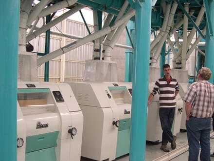 鋼結構面粉加工磨粉工段