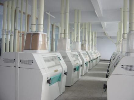 100-300噸小麥面粉加工成套設備