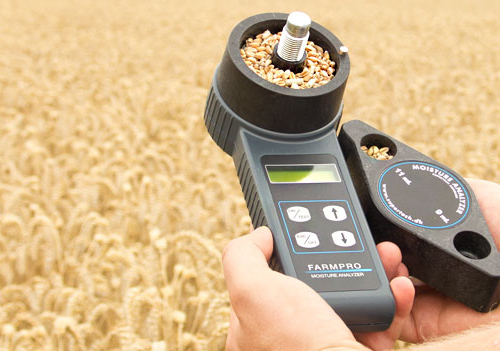 小麥水分檢測