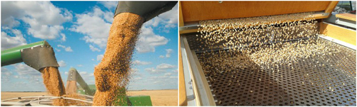 面粉加工清理設備